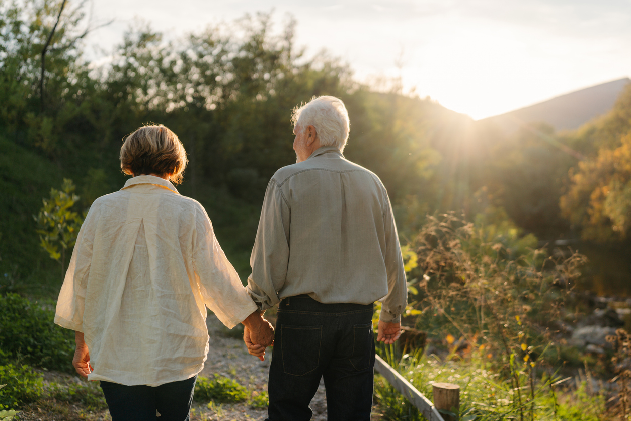 Säulen der Longevity